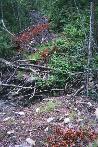 IMG25